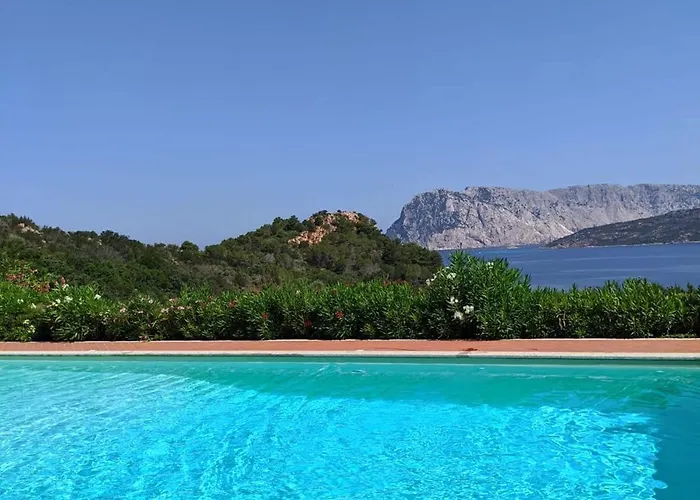 Apartament Punta Est Quadrilocale Terrazza Favolosa Vista Mare Capo Coda Cavallo
