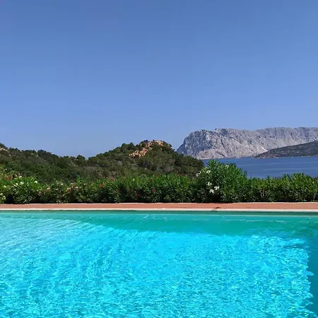 Apartment Punta Est Quadrilocale Terrazza Favolosa Vista Mare Capo Coda Cavallo