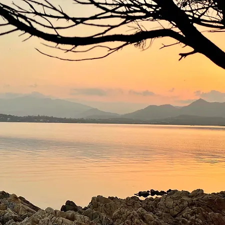 Апартаменты Punta Est Quadrilocale Terrazza Favolosa Vista Mare Капо-Кода-Кавальо