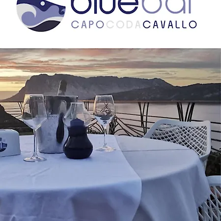 Punta Est Quadrilocale Terrazza Favolosa Vista Mare Апартаменты Капо-Кода-Кавальо