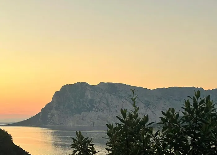 Punta Est Quadrilocale Terrazza Favolosa Vista Mare Appartamento