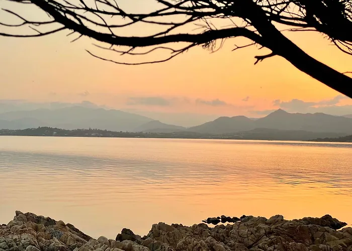 Apartamento Punta Est Quadrilocale Terrazza Favolosa Vista Mare Capo Coda Cavallo